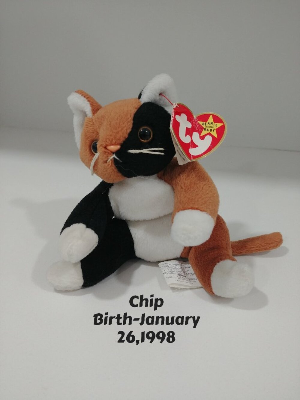 Ty Chip Beany Baby With Birth Tag, Like New